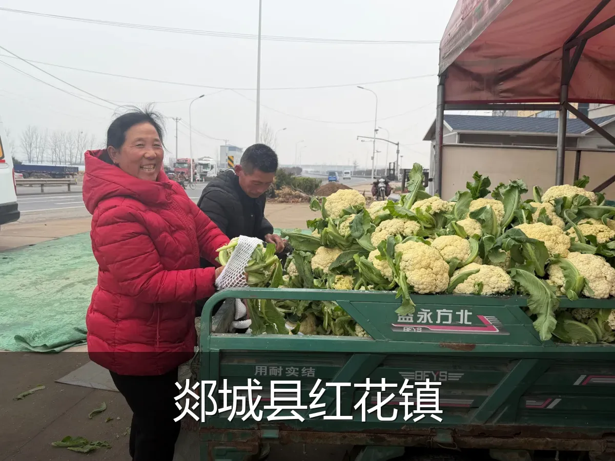 郯城县红花镇