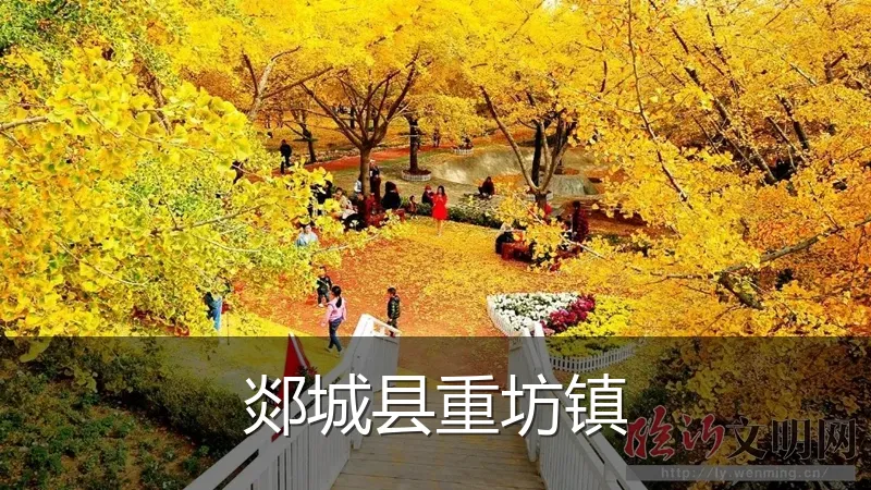 郯城县重坊镇