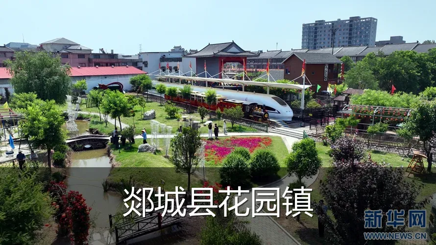 郯城县花园镇